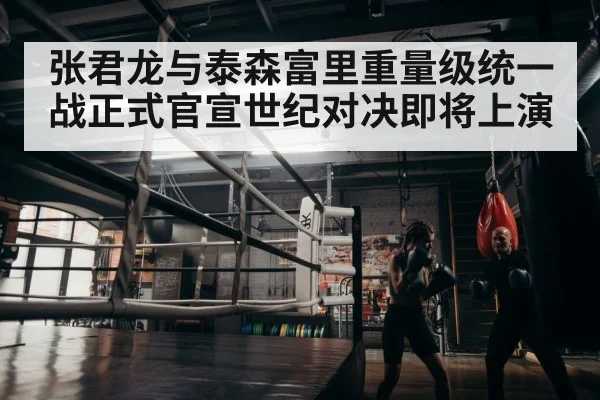 boxer training
